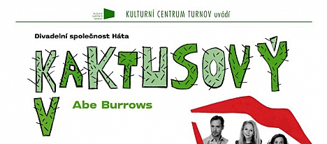 Kaktusový květ