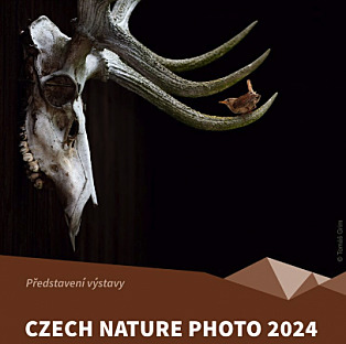 Czech Nature Photo 2024