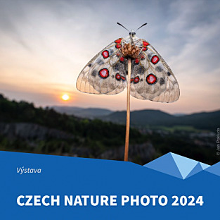 Czech Nature Photo 2024