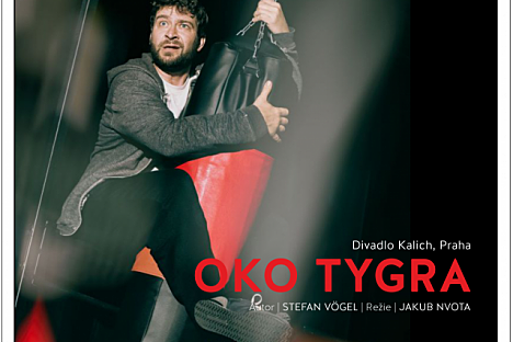 Oko tygra 