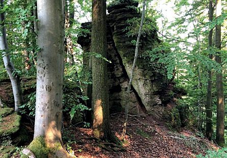 Horní Vlčice – zbytky hradu
