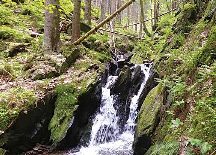 Vodopády Vavřincova a Tippeltova potoka